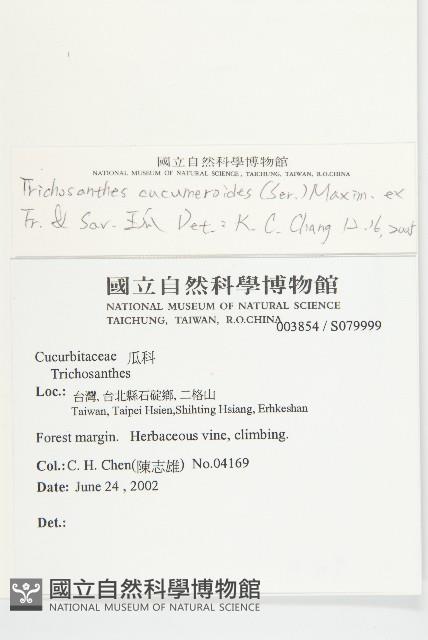 王瓜藏品圖，第2張