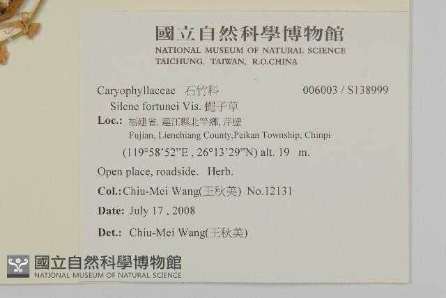 Accession Number:S138999 Collection Image, Figure 2, Total 2 Figures