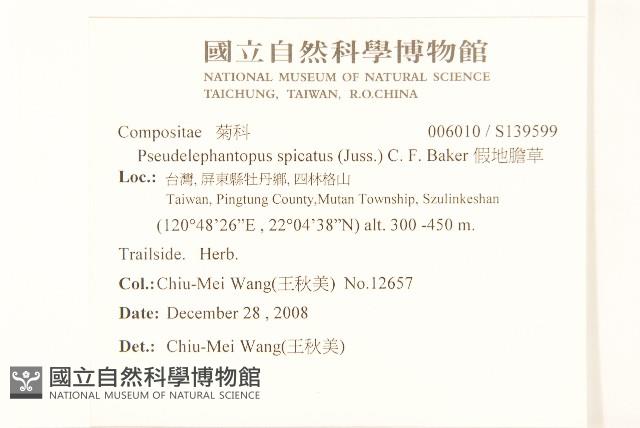 假地膽草藏品圖，第2張