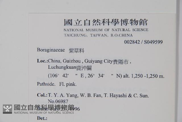 登錄號:S049599藏品圖，第2張