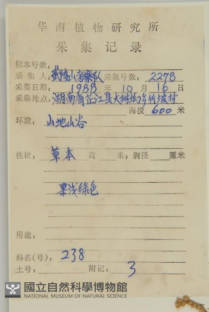 林艾蒿藏品圖，第2張