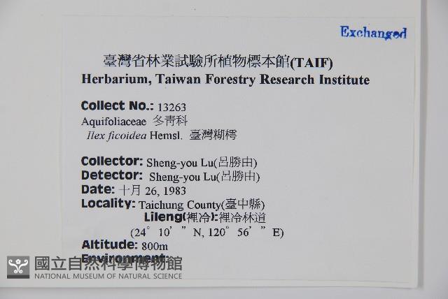 臺灣糊樗藏品圖，第2張