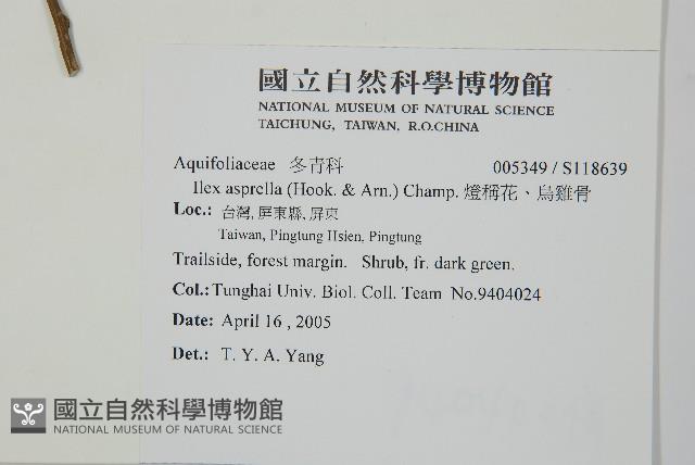 燈稱花、烏雞骨藏品圖，第2張