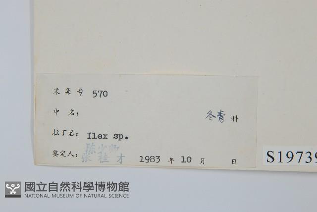 登錄號:S019739藏品圖，第2張