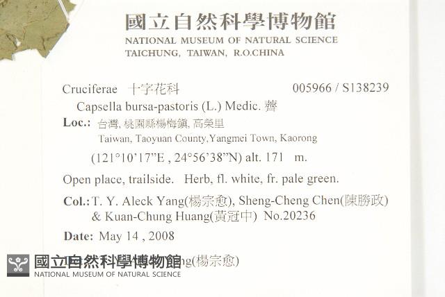 薺藏品圖，第2張