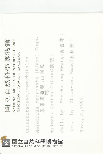 黑果馬交兒藏品圖，第2張