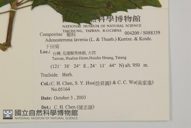 下田菊藏品圖，第2張