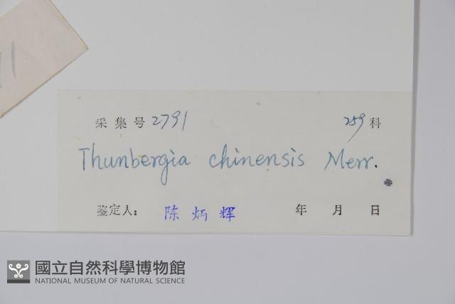 中華老鴨嘴藏品圖，第2張