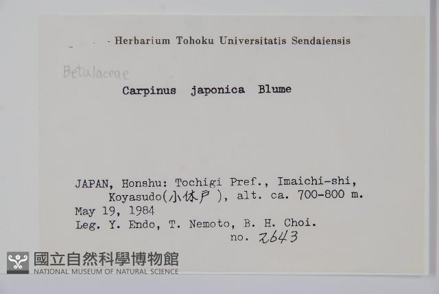 登錄號:S058539藏品圖，第2張