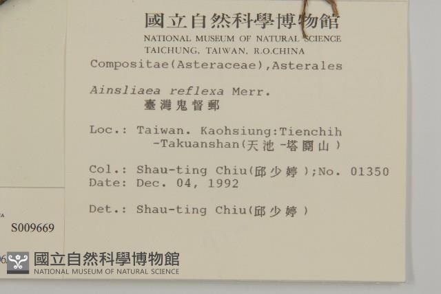 臺灣鬼督郵藏品圖，第2張