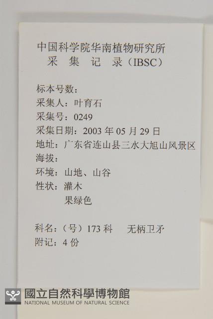 無柄衛矛藏品圖，第2張