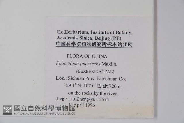 Accession Number:S048669 Collection Image, Figure 2, Total 2 Figures