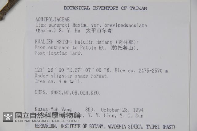 太平山冬青藏品圖，第2張