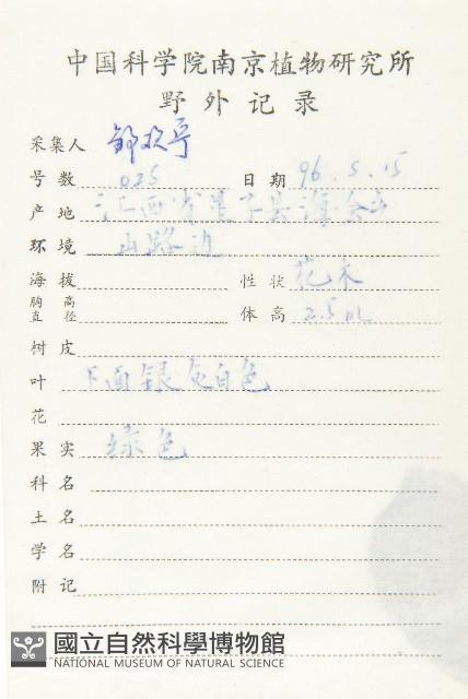 木半夏藏品圖，第2張