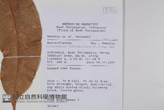 登錄號:S058769藏品圖，第2張