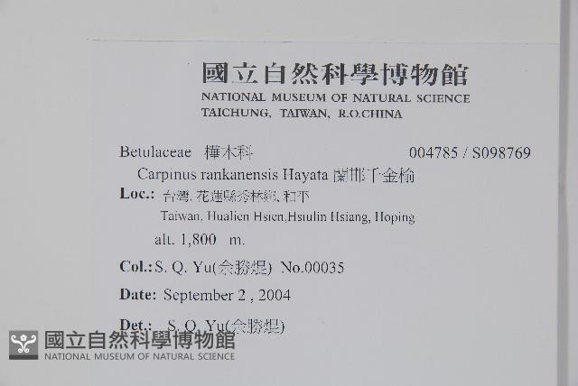 蘭邯千金榆藏品圖，第2張