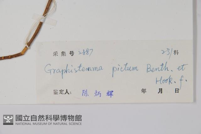 天星藤藏品圖，第2張