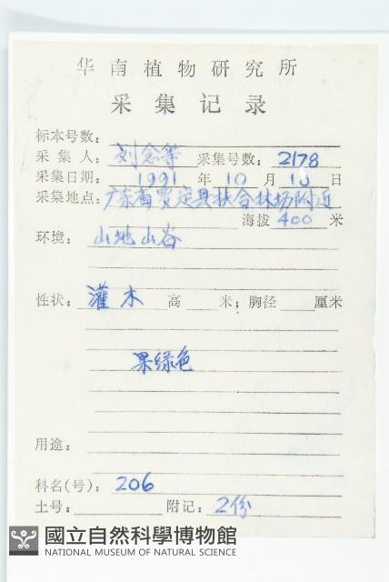 紅葉藤藏品圖，第2張