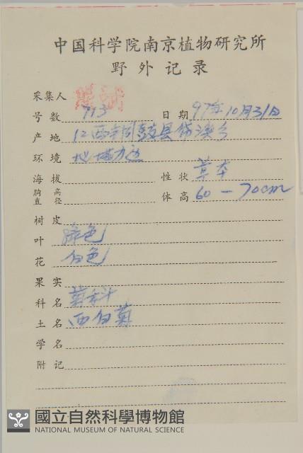 菊藏品圖，第2張