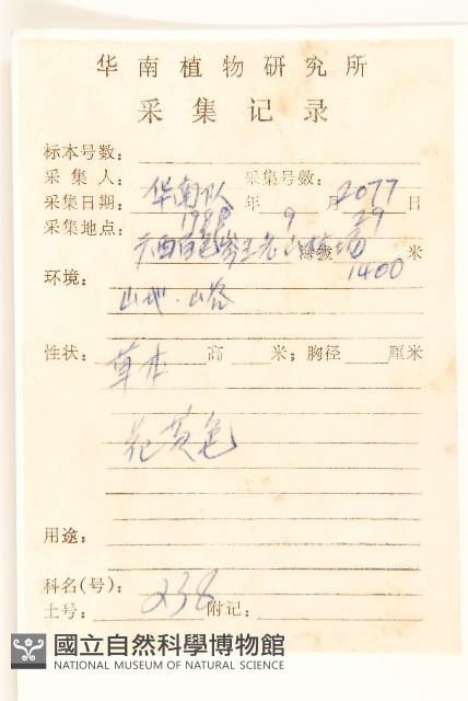 一枝黃花藏品圖，第2張