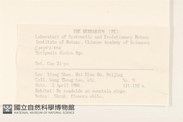 螞蚱腿子藏品圖，第2張