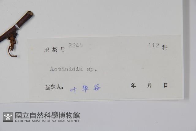 登錄號:S039169藏品圖，第2張