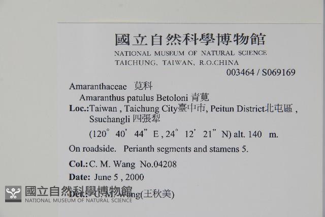 青莧藏品圖，第2張