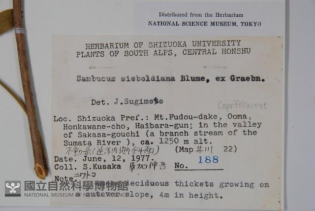 登錄號:S049169藏品圖，第2張