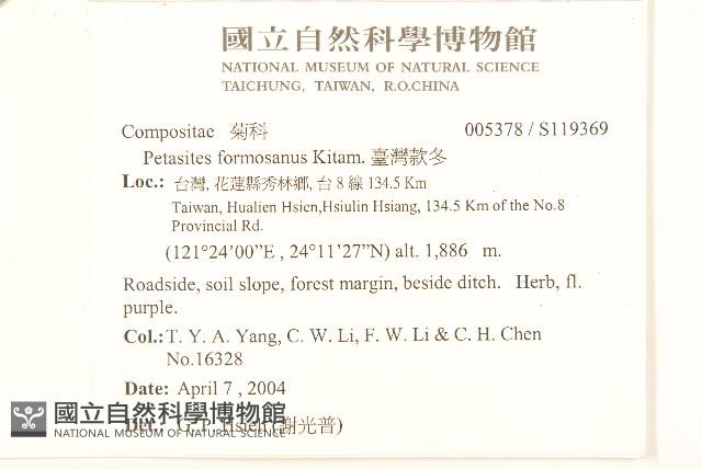 臺灣款冬藏品圖，第2張