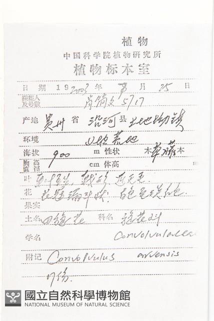 田旋花藏品圖，第2張