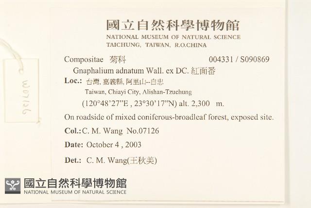 紅面番藏品圖，第2張