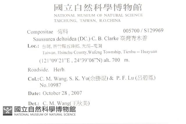 臺灣青木香藏品圖，第2張