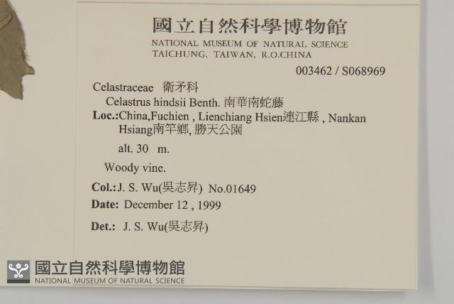 南華南蛇藤，青江藤藏品圖，第2張