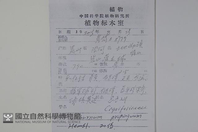 高山莢迷藏品圖，第2張