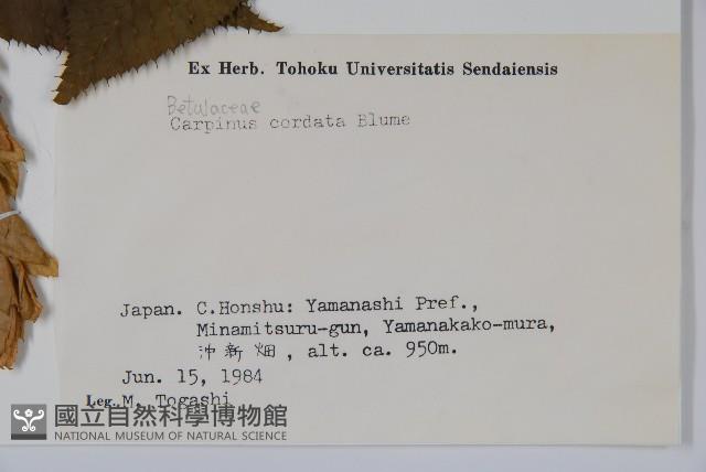 千金榆藏品圖，第2張