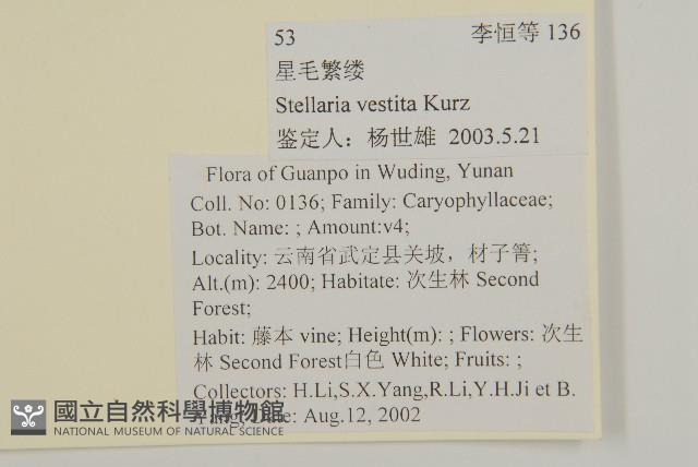 疏花繁縷藏品圖，第2張