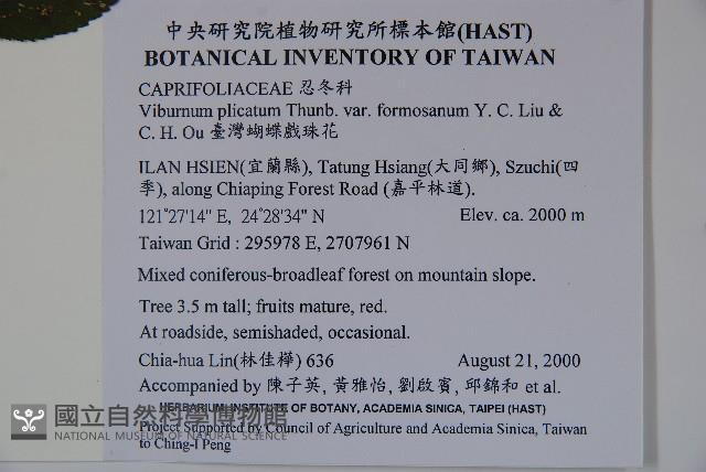 臺灣蝴蝶戲珠花、臺灣蝴蝶花藏品圖，第2張