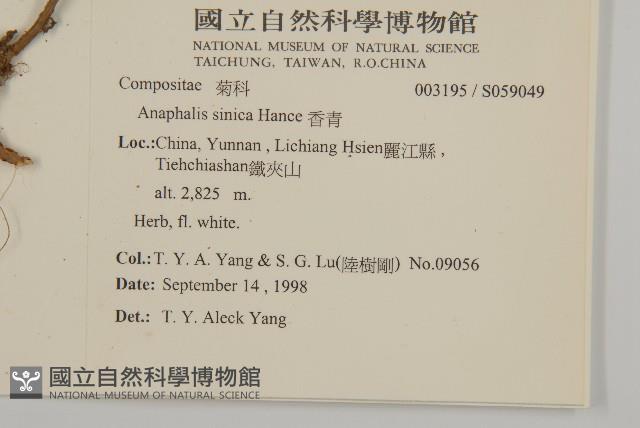 Accession Number:S059049 Collection Image, Figure 2, Total 2 Figures