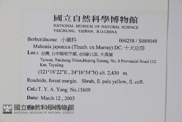 十大功勞藏品圖，第2張