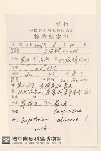 華澤蘭藏品圖，第2張