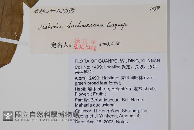 長柱十大功勞藏品圖，第2張