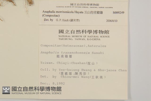 玉山抱莖籟簫藏品圖，第2張