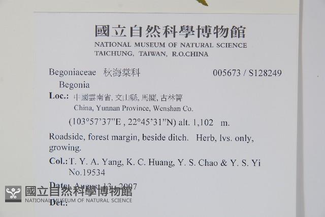 登錄號:S128249藏品圖，第2張