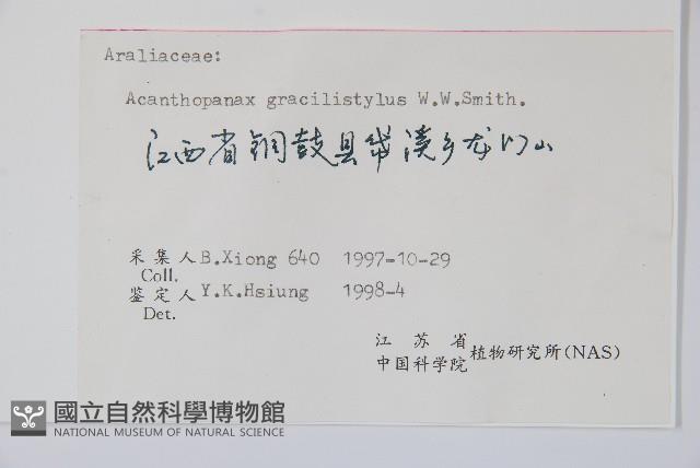 五加藏品圖，第2張