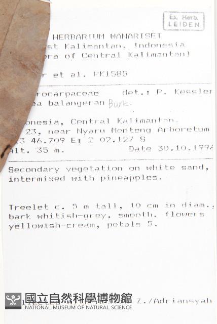 登錄號:S058849藏品圖，第2張