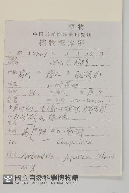 牡蒿藏品圖，第2張