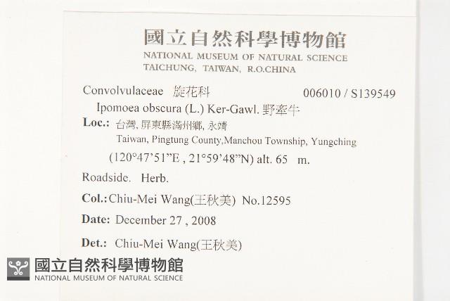 野牽牛藏品圖，第2張