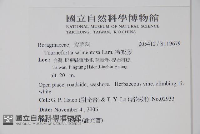 冷飯藤藏品圖，第2張