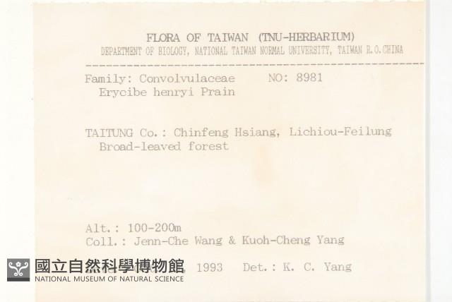 亨利氏伊立基藤藏品圖，第2張