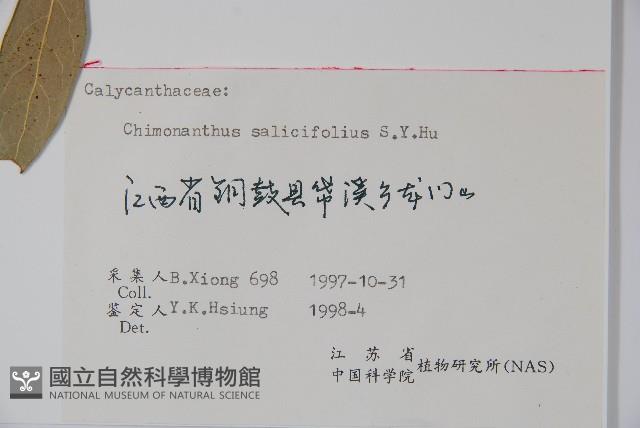 柳葉腊梅藏品圖，第2張